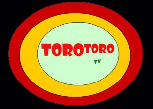 Torortoro Channel